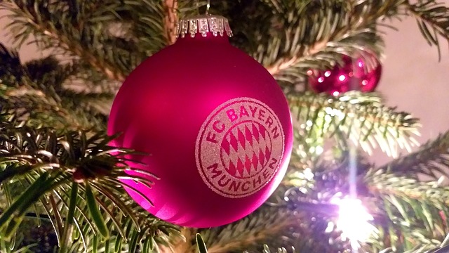 为球队提供 为球队提供