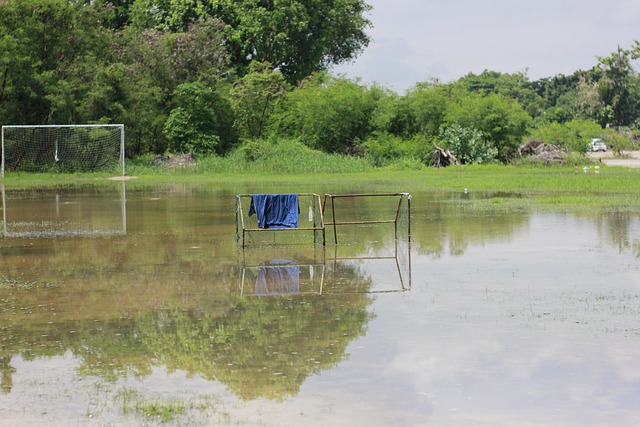 运动员的需 运动员的需