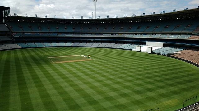 A比赛增色 A比赛增色