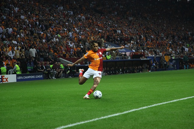 更是天赋与 更是天赋与