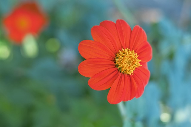 表现优异 表现优异