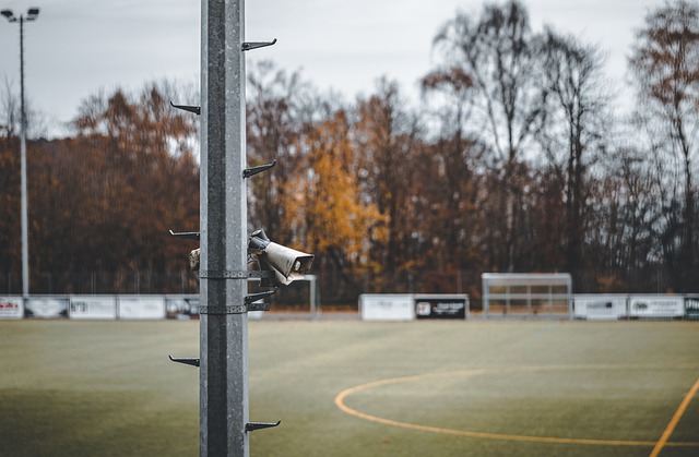 特别的共同 特别的共同