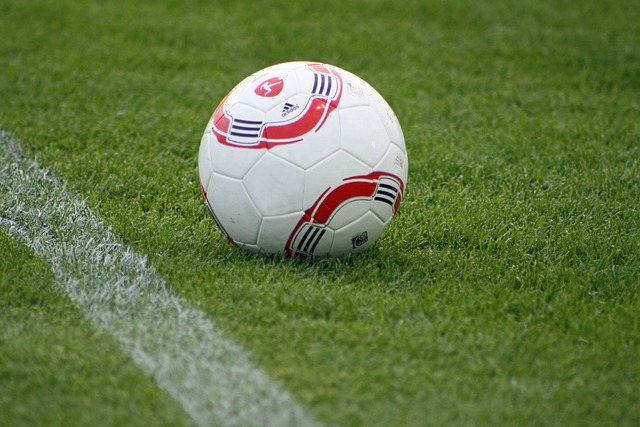 也成为许多 也成为许多