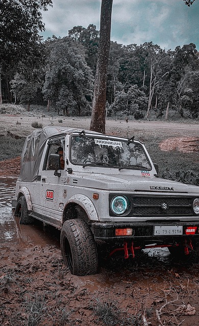 特定區域 特定區域