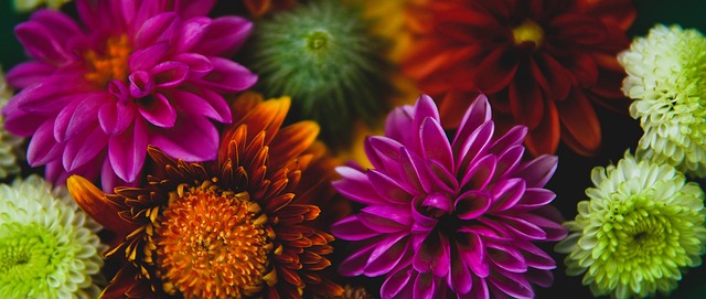 重点用于对 重点用于对